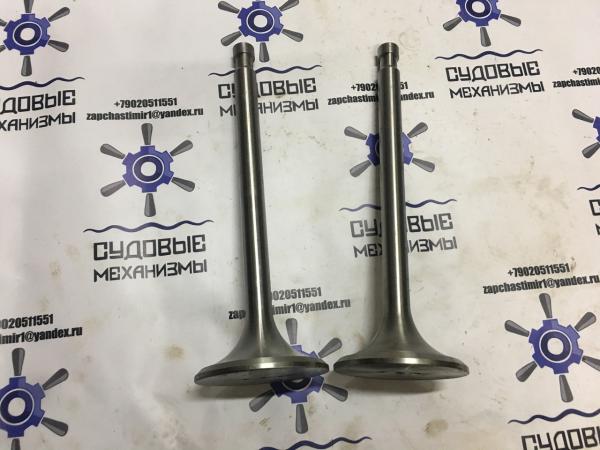 NVD48 AU Клапан впускной / выпускной Д1Е.11.1 / 11001